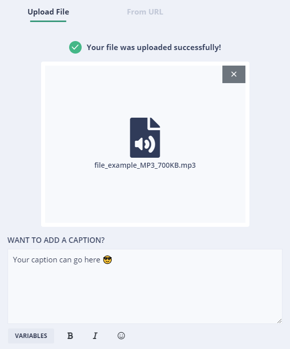 File uploaded successfully