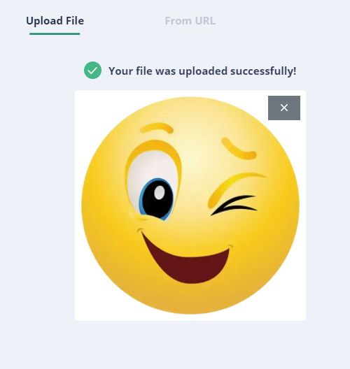 File uploaded successfully